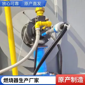 岱鼎 500万大卡天然气 低氮燃烧器 支持定制 规格齐全 维护保养
