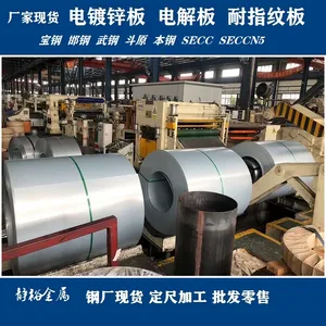 宝钢股份电镀锌板卷 DC04+ZE参考牌号性能BLDE+Z电镀锌卷板