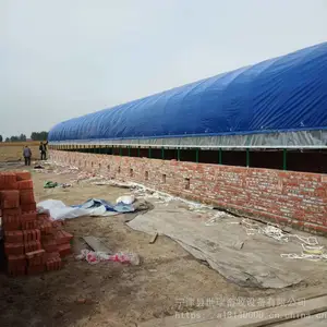笼养鸭棚施工搭建 蛋鸭养殖棚建设 养鸭大棚安装厂家