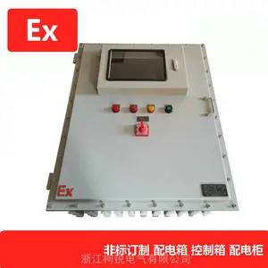防爆温控仪表箱 防爆触摸屏快开门箱 防爆配电箱带视窗