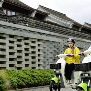 景区共享电动车是否有发展必要
