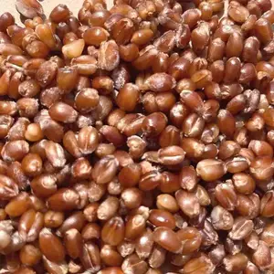 2025 �»������� 500g ũ������ȫ����� ��������ĥ�� ��������