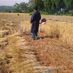С�ͼ��ø�ݻ�ͼƬ �ĳ�̴�ݻ�ʹ��˵��