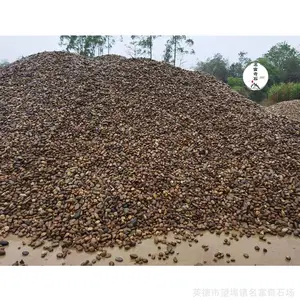 5-8���ֶ���ʯ������ʯ���ͻ��أ�С����ʽ�̵�ʯ��