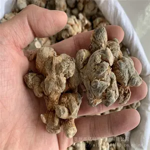 ���ߡ����ߡ����ߡ������ߡ����������� ���߼۸��Ż�