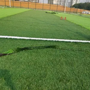 ����ר������� ��ɫ�����������ؽ��軧����