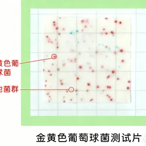大肠杆菌stec检测纸片 24片/包