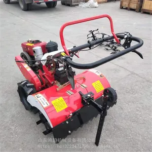 ��԰�������ݻ� ���������ػ� �ַ�ʽ������