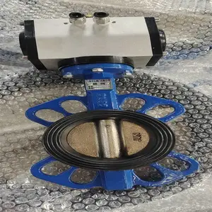 GT�����Լ����ܷ�����˫��ַ������