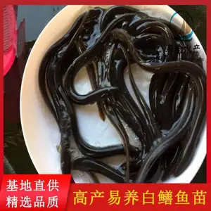 ��ˮŷ�������� �������� �ձ������� �����㼰������ѡ����
