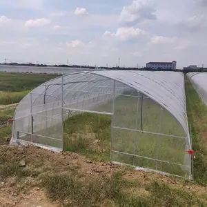 亚圣温室 单体拱棚 花卉蔬菜育苗种植大棚安装 专业施工 可实地调研