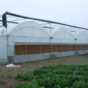 青州鑫泽温室/智能双拱双膜温室/双拱双膜连栋大棚/双层膜温室大棚