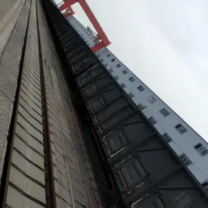 �����ھ��������ر������̣��������Ź���Ϊ������