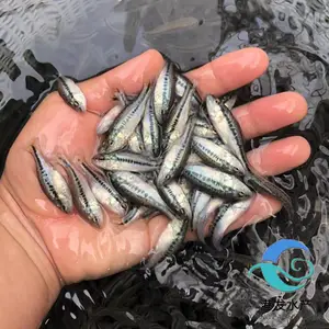 �۷�ˮ��Ʒ�������� ����������ֳ �˹�ѱ�� ֧�ּ���Ա����ָ��