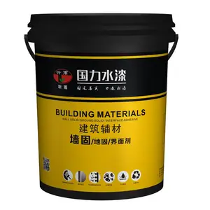 河南鹤壁国力新材料房地产混凝土水泥界面剂处理剂安阳墙面除碱水性墙固剂墙面新乡墙固厂家批发内墙加固剂