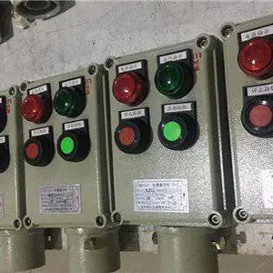 BZC81-A2D1G���������� ���Է�����ť�� �ֳ�����������