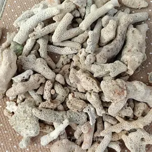 ����ɺ��ɰ ����̵�ɺ��ɰ ˮ����˲���ɺ����