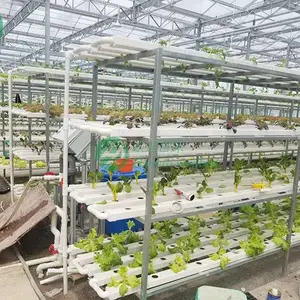 ˮ���߲���ֲ���� ��������ˮ��۶������� ���ϳ�Ʒ