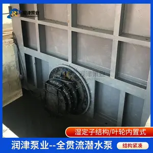 泵闸一体化设备(潜水闸门泵)源头厂家 润津泵业