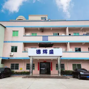 广东德辉盛技术有限公司