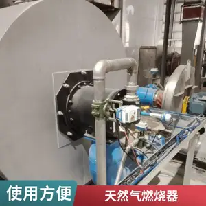 岱鼎品牌 量身设计焦炉煤气（荒煤气）烧嘴 低氮节能煤气燃烧器
