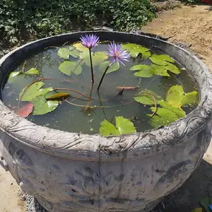 ���Ժɻ����������Ժɻ�����