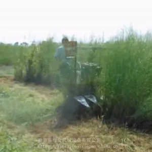 姊妹市大麦 稻麦自走式牧草收割机 手扶式象草割晒机 留兰香收割机价格