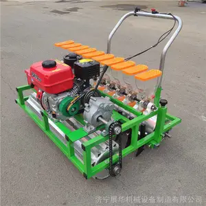 汽油170蔬菜精播机 白菜芫荽育苗机 株距可调新款播种机