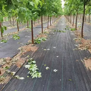 2米宽除草布真的能防草吗张掖市