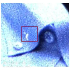 印刷视觉检测--检缺陷分毛刺，缺口视觉解决方案