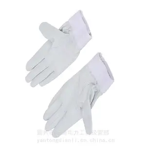 ��ɫ�������վ�Ԯ������ȼ����������׻��ⷴ����������