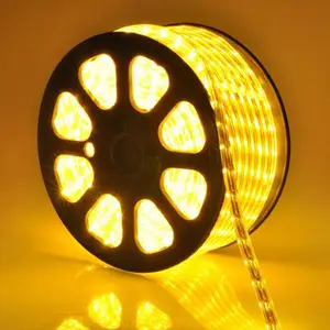 德珂LED灯带 DC24V 10W 工程款 小功率LED光源 生产定制 高光效 外观精美 性价比高 节能环保 寿命长