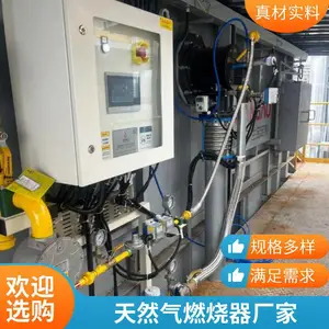 工业窑炉烧嘴燃气天然气燃烧器燃烧系统天然气燃烧器源头厂家岱鼎