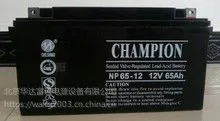 供应商销售/***蓄电池NP105-12技术指导价