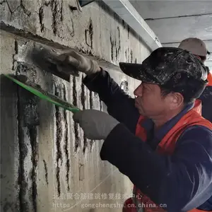 ɰ�������Ĩ�Ҳ�չĴ���