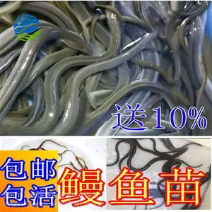 �°�����������ֳ��-�����������ʲô-�������������������ֳ