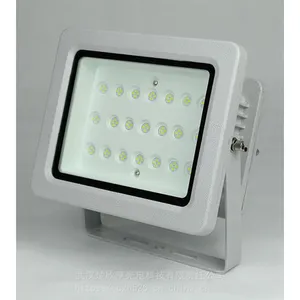 ��ȫ����ָʾ�� ������ɢӦ���� ����ָʾ�� ������