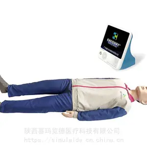 喜玛览德 急救护理训练模拟人