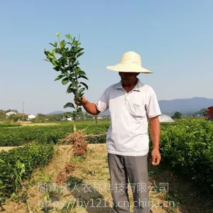 ���ͺ������ľ �������˹�˾����������