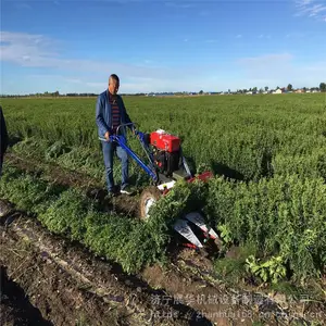 ��ʥ��еһ�ߵ������ո������