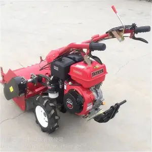 ����԰�Ĳݸ�ݻ� ����ʽ��ݻ� ��Ч�ʴ�ݻ���������