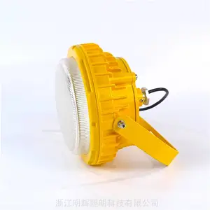 防爆吸顶灯LED50w200v LED防爆弯杆灯 LED防爆吸壁灯 防爆LED灯