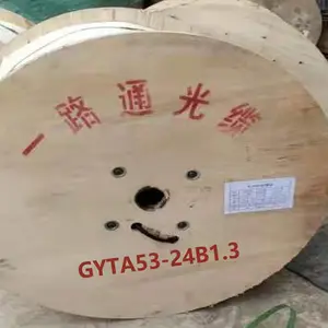 广州一路通光缆 厂家供应 国标室外单模双铠双护套48芯GYTA53 直埋式光纤光缆