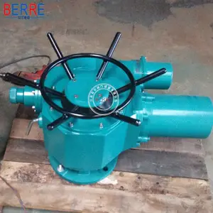 ���ݱ���DZW15-24/WK1�綯ִ����