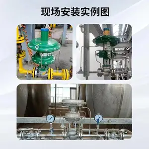 ZZYVP-16B灌区储灌微正压供氮阀 先导式带指挥器不锈钢氮封阀