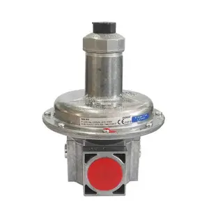 �¹�dungsȼ����ѹ��FRS505��˹