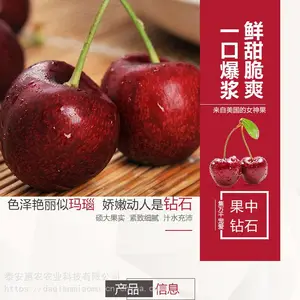 ���ɹŰ����׶�-����ӣ��������������ӭʵ�ؿ���