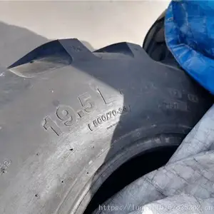 ��Ӧ 19.5L-24 ��ͷæ��̥ �������