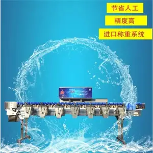 重量在线分级机 水产品重量选别机 鸡爪重量分选机