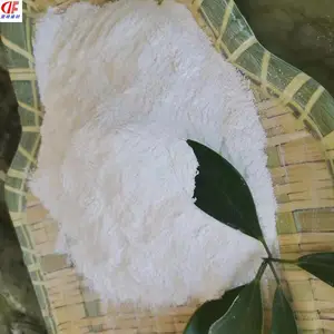 ��ҵ�����Բ��ϻ�ʯ��̼��� Ϳ�����ظƷ�